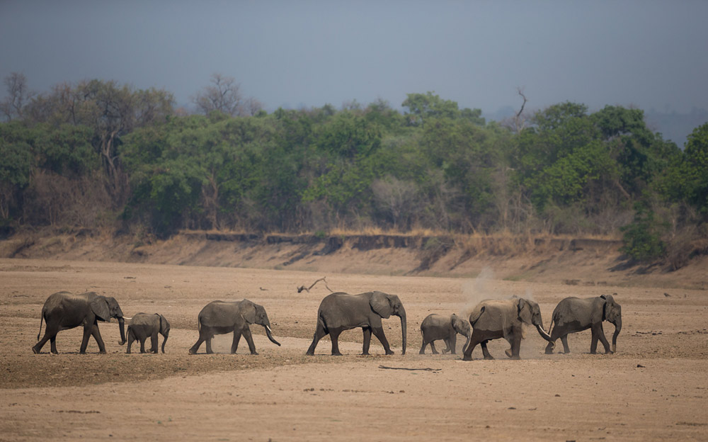 Mastering the First Impression: Your intriguing post title goes here